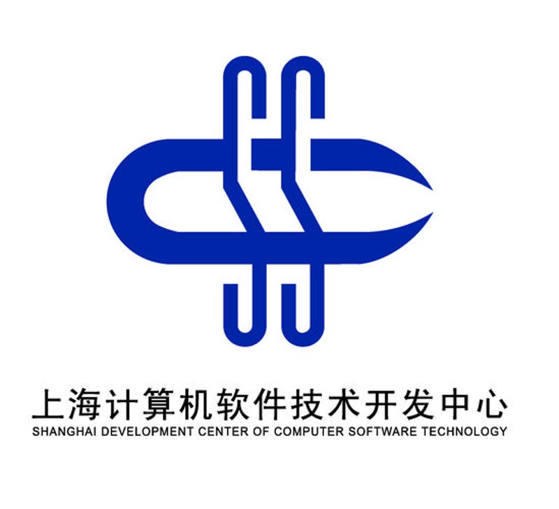 上海软件开发：城市脉搏的加速器